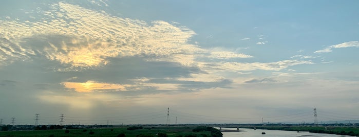 利根川橋 is one of TONEGAWA.