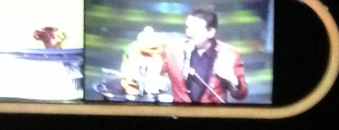 Terry Fator and His Cast of Thousands is one of Lieux qui ont plu à Brendon.