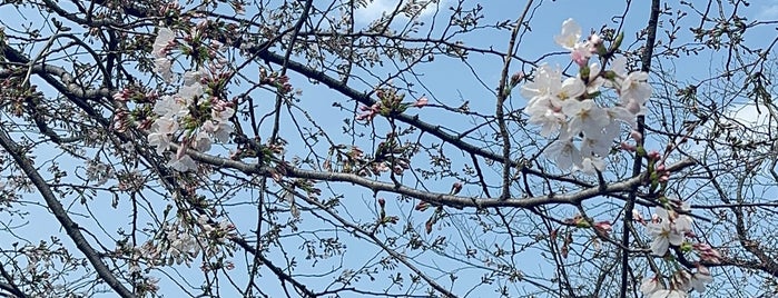 安方神社 is one of 東京都大田区の神社.