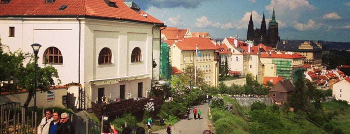 Bellavista is one of Prague / Kutna Hora.