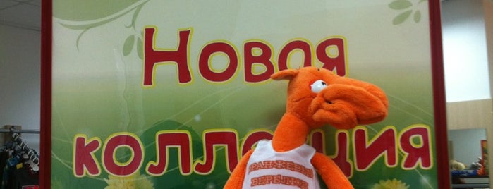 Оранжевый Верблюд is one of Shopping ratings 360.by.