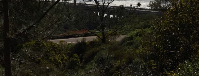 Torrey Pines Cliffs is one of San Diego Trip.