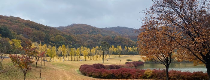 Lakeside Country Club is one of EunKyuさんのお気に入りスポット.