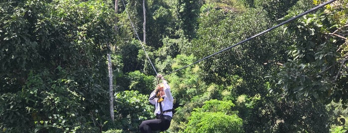 Fight Of The Gibbon is one of Thailand.