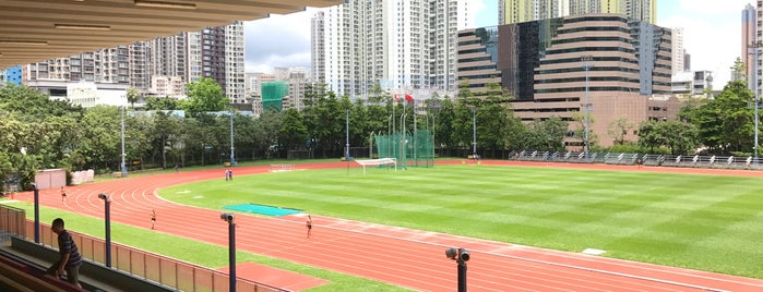 Sham Shui Po Sports Ground is one of Hong Kong.
