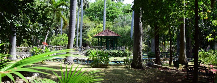 Jardín Botánico Nacional de Cuba is one of Cuba.