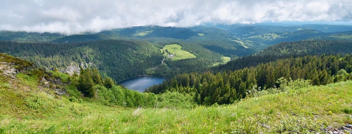 Schwarzwald is one of Part 2 - Attractions in Europe.