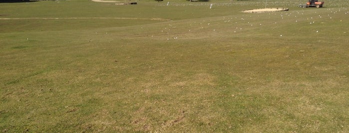 Golf de SQY is one of Locais curtidos por Jerome.