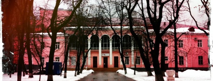 Камерный театр is one of Воронеж.