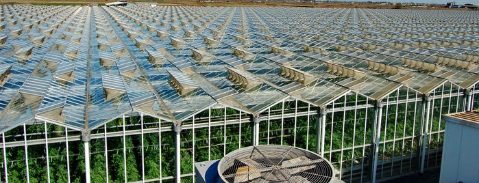 AGRITEX SA - Home of LUCIA Hydroponic Tomatoes is one of สถานที่ที่ Christos D. ถูกใจ.
