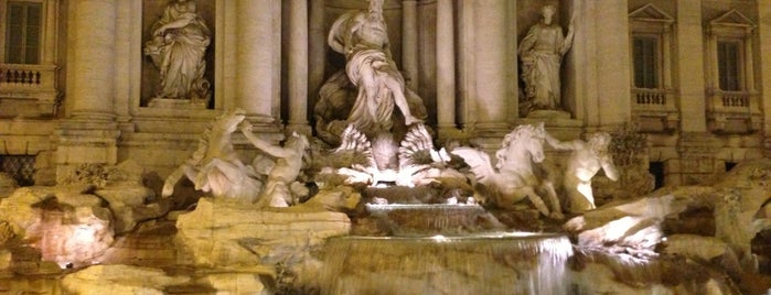 Trevi Fountain is one of Когда-нибудь.