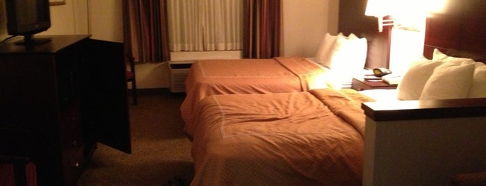 Holiday Inn Baltimore BWI Airport is one of edさんのお気に入りスポット.