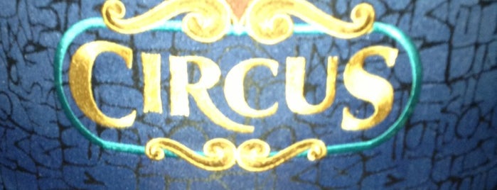 Circus Casino is one of MÉXICO, MÉRIDA, YUCATÁN.