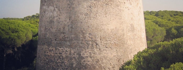 Torre San Jacinto is one of Torres Almenaras en el Litoral de Andalucía.