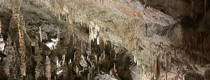 Adelsberger Grotte is one of Orte, die Li gefallen.