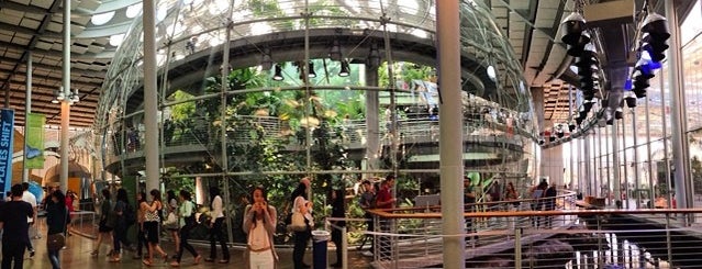 California Academy of Sciences is one of San Fransisco Hits.