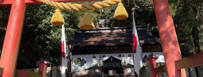 白山神社拝殿 is one of 東海地方の国宝・重要文化財建造物.