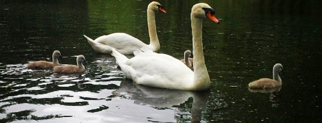 St Stephen's Green is one of Dublin Essentials for PaperPaper.ru.