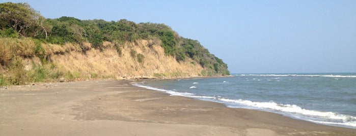 Playa La Mancha is one of Paola’s Liked Places.