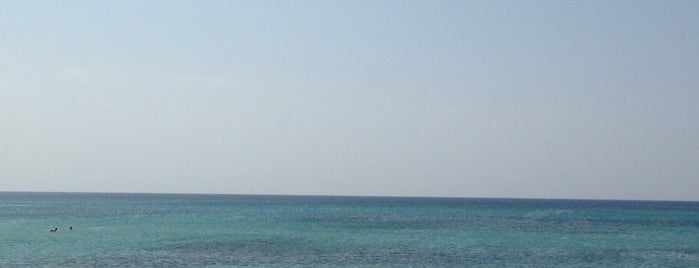 Sun Sea Beach Club is one of Çeşme ve Deniz.