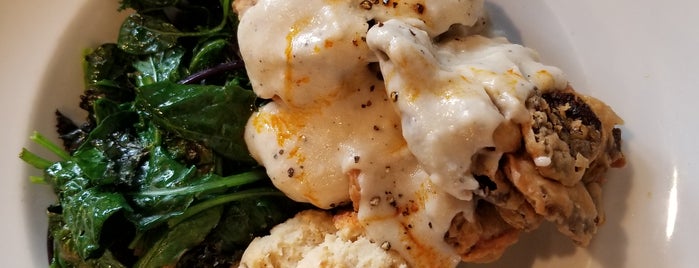 The 15 Best Vegetarian And Vegan Restaurants In San Go Donna Jean Is One Of The 15 Best Vegetarian And Vegan Restaurants In San Go