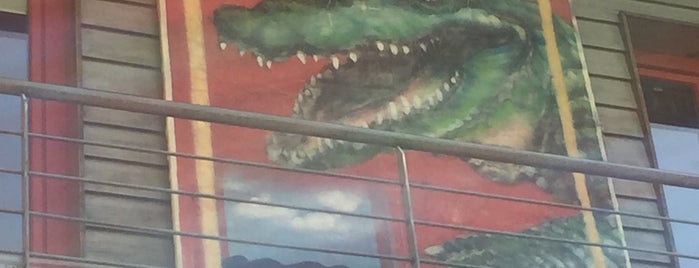 Krokodil is one of Mal testen.