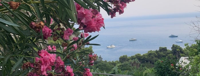 Capri Palace Hotel & Spa is one of Orte, die Grant gefallen.