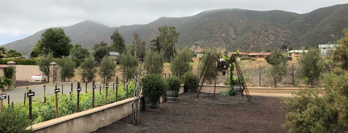 Tres Valles is one of Lugares favoritos de Eduardo.