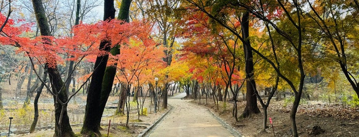 연세대학교 청송대 is one of 연세대학교, Yonsei Univ..