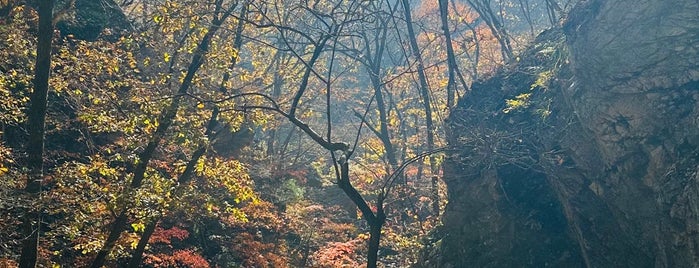 삼악산 is one of Outdoor Activities.