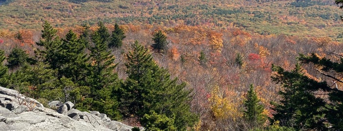 Monadnock State Park is one of Potential Day Trip Destinations.