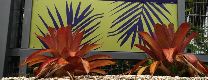 Miami Beach Botanical Garden is one of Miami: history, culture, and outdoors.