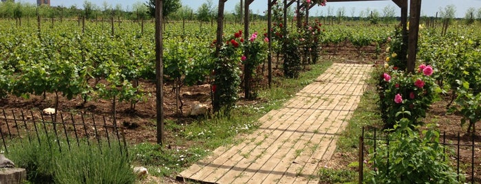 Domeniile „Clos des Colombes” is one of Posti che sono piaciuti a Gabi.