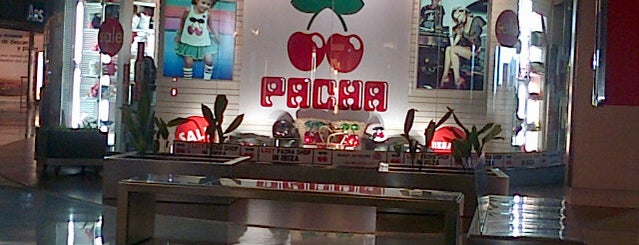Pacha is one of Locais curtidos por Katia.