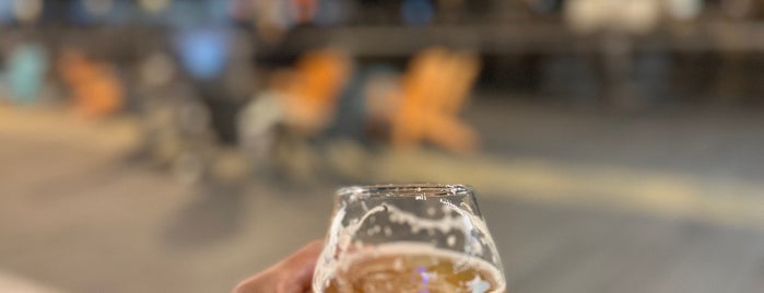 Union Bear Brewing Company is one of D-FW Breweries.