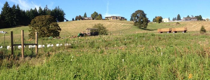 Plumper Pumpkin Patch is one of Orte, die Jennifer gefallen.