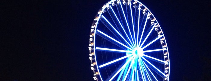 The Seattle Great Wheel is one of Seattle Guests.