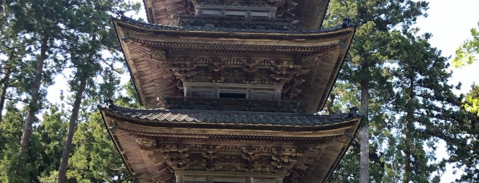 The Five-Storied Pagoda is one of 日本の五重塔（国宝と重文）.