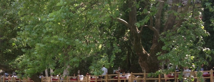 Misi Aile Çay Bahçesi is one of özgür’s Liked Places.