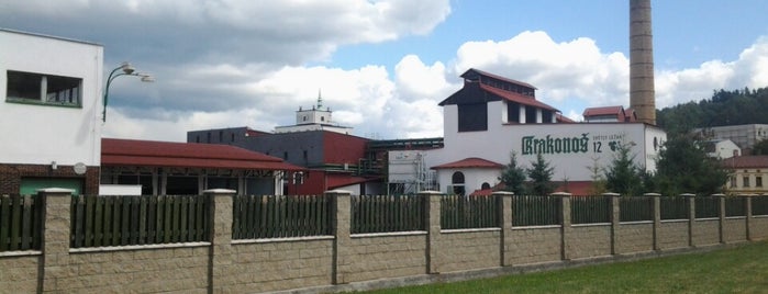 Pivovarská restaurace is one of Tempat yang Disukai Jiri.