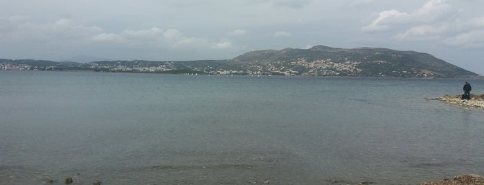 Αυλάκι (Avlaki) is one of Nomos Attikis, Beaches.