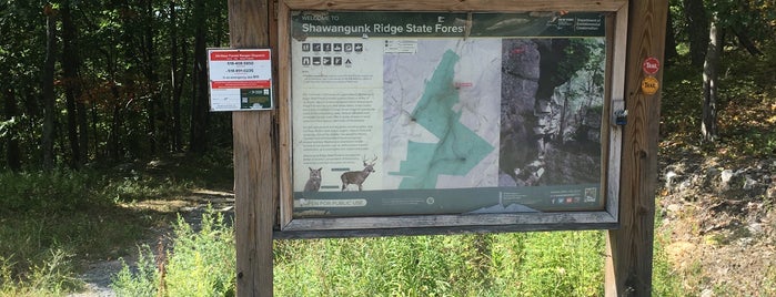 Shawangunk Ridge Trail is one of Parks/Gardens/Trails.