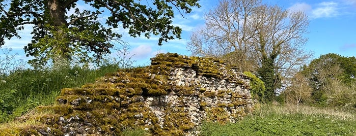 Silchester Roman Town Walls and Amphitheatre is one of Historic/Historical Sights-List 6.