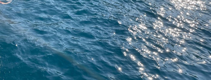 Mediteranean Sea is one of antalyam 0 507 729 50 72.