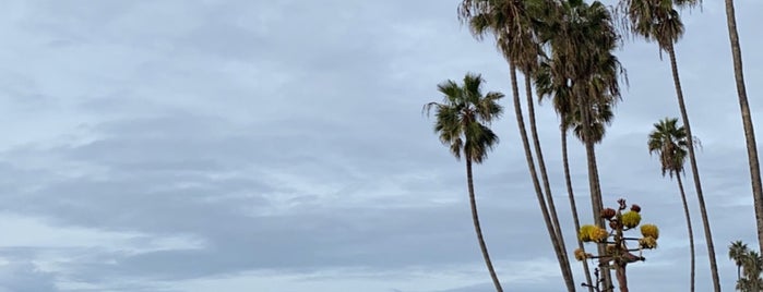 Scripps Beach is one of La Jolla.