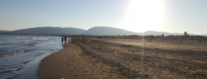 Laganas Beach is one of Dusan : понравившиеся места.