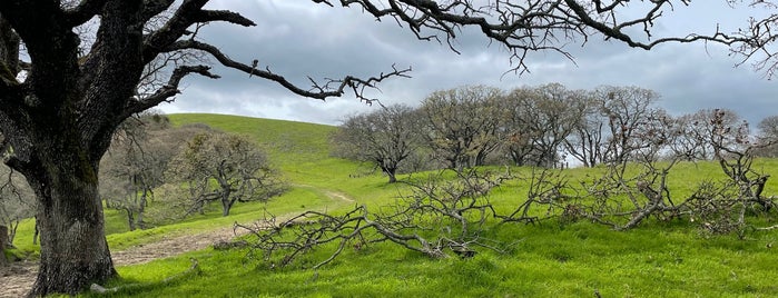 Briones Regional Park is one of CALIFORNIA.