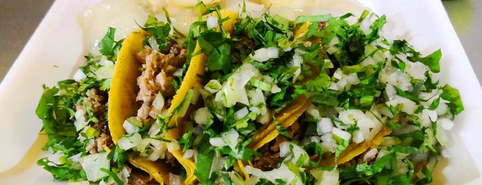 Tacos Pilo is one of Monterrey.