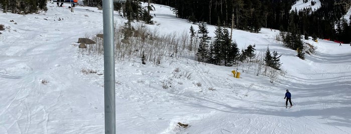 Agassiz Ski Lift is one of Buchino.