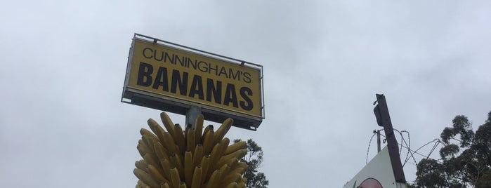 Cunningham's Bananas is one of JP's Banana Coast.